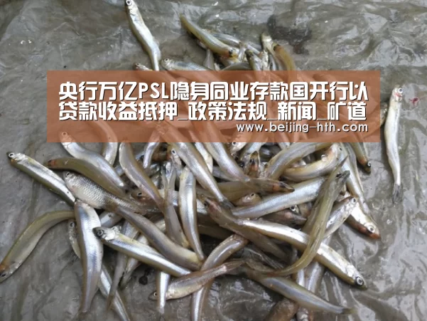 央行万亿PSL隐身同业存款国开行以贷款收益抵押_政策法规_新