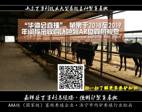 华体会直播