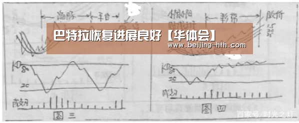 华体会app