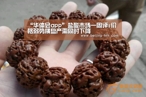 华体会直播